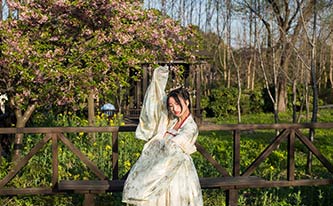 徜徉櫻花花海，來場動漫之旅