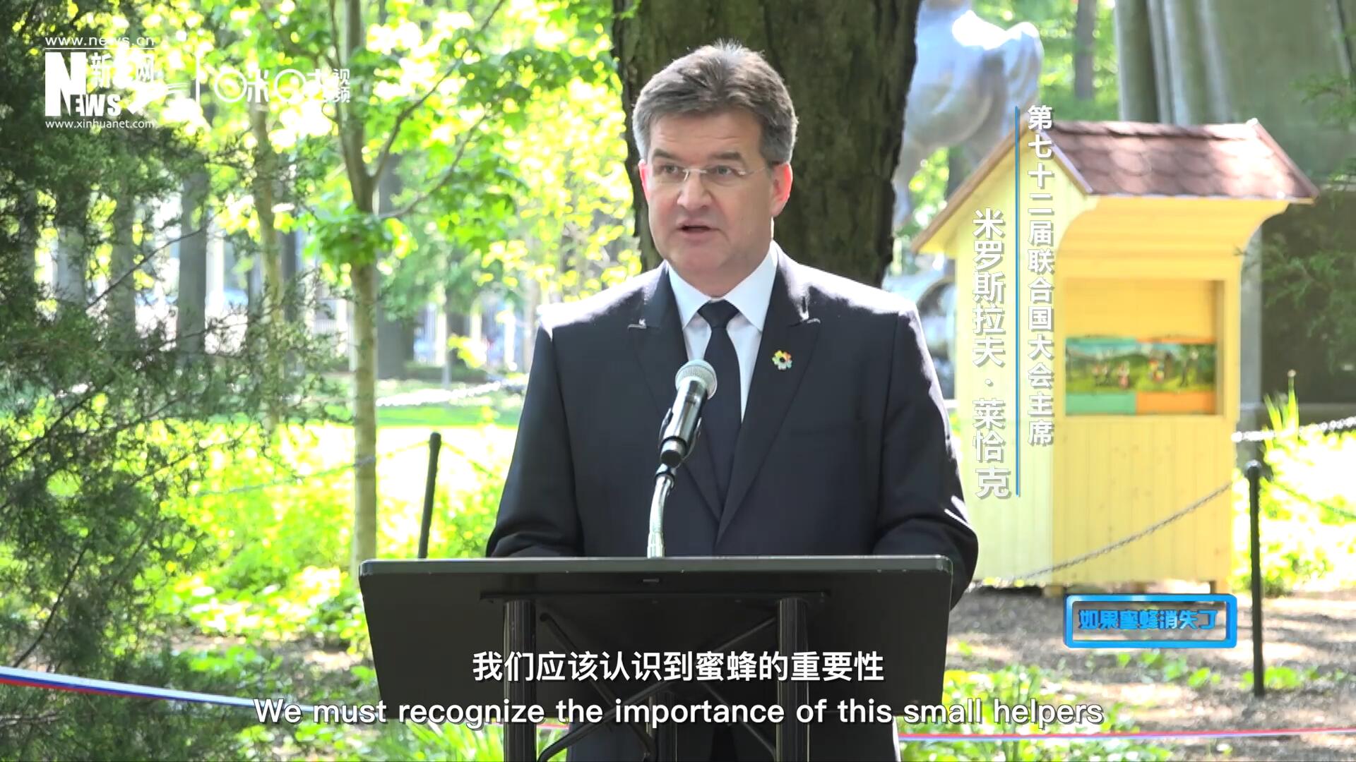 我們應該認識到蜜蜂的重要性，所以我們用“世界蜜蜂日”提高大家保護蜜蜂的意識，并且用實際行動去保護蜜蜂
