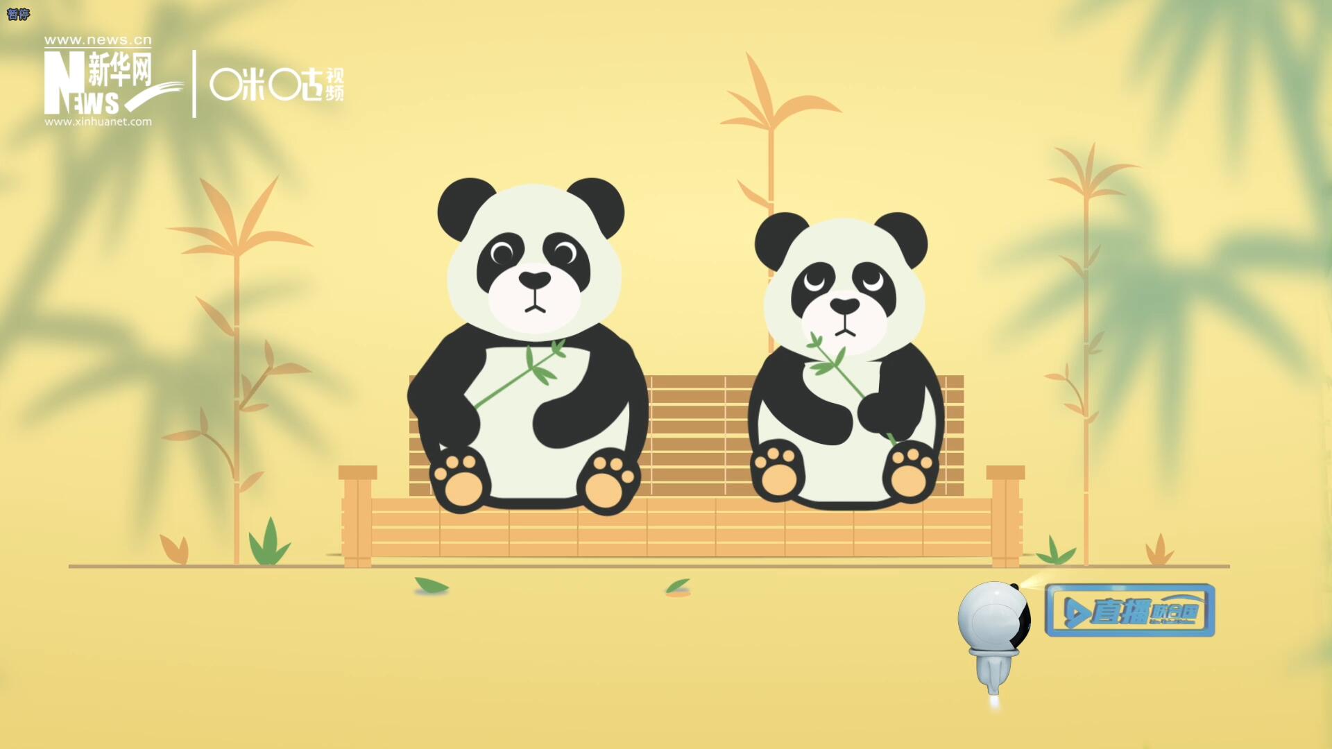 “哥哥你看，又有人來看我們了。”“有什么奇怪的，我們可是聯合國‘最萌’的大使啊！”。